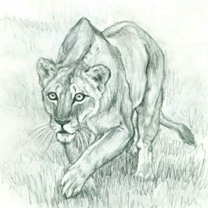 Meet your Posher, Katrina